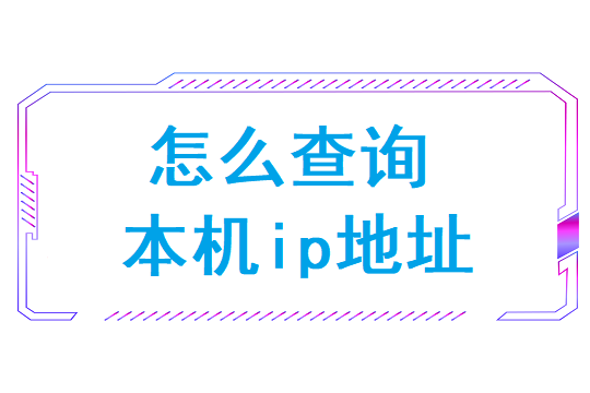 怎么查询本机ip地址(怎么查路由器ip地址)