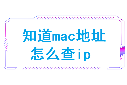 知道mac地址怎么查ip(自己电脑的ip地址怎么查)