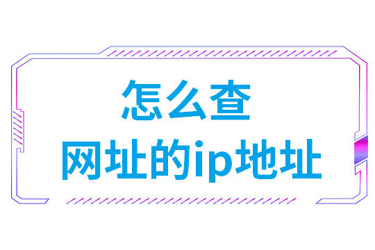 怎么查网址的ip地址(xp系统ip地址怎么查)